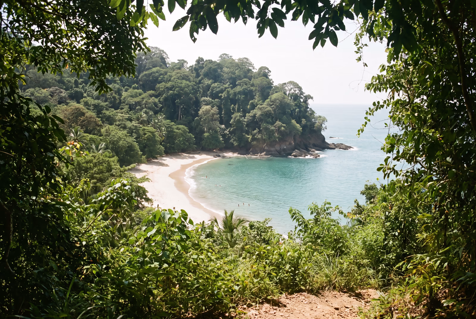 Weisse Sandbucht und türkisfarbenes Wasser, gesäumt von Regenwald, im Nationalpark Manuel Antonio