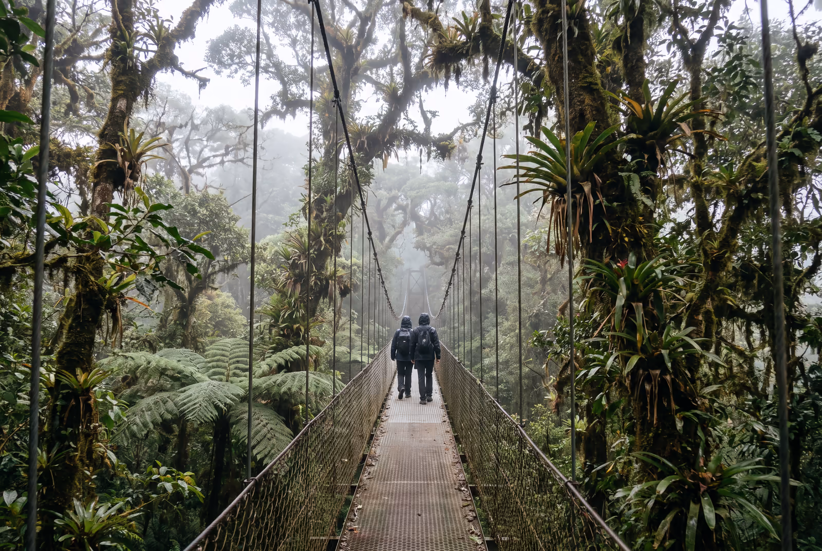 Hängebrücke im Nebelwald von Monteverde, zwei Wanderer von hinten im Nebel