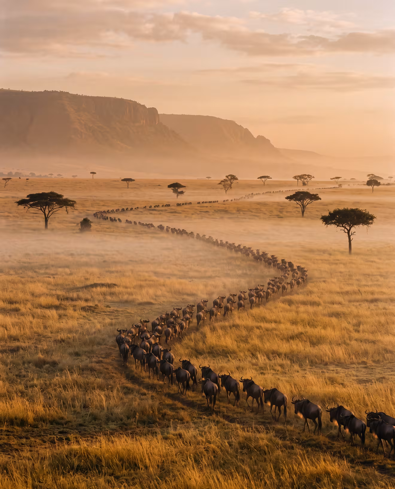 Kenya & Tanzanie