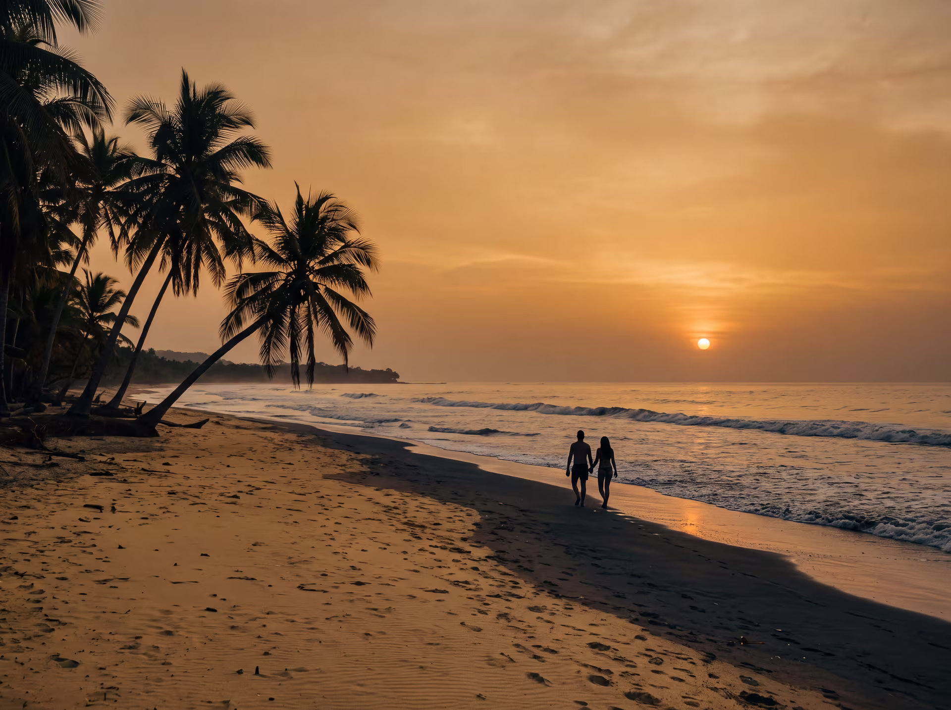Plage de sable doré de Playa Matapalo au coucher du soleil, palmiers en silhouette