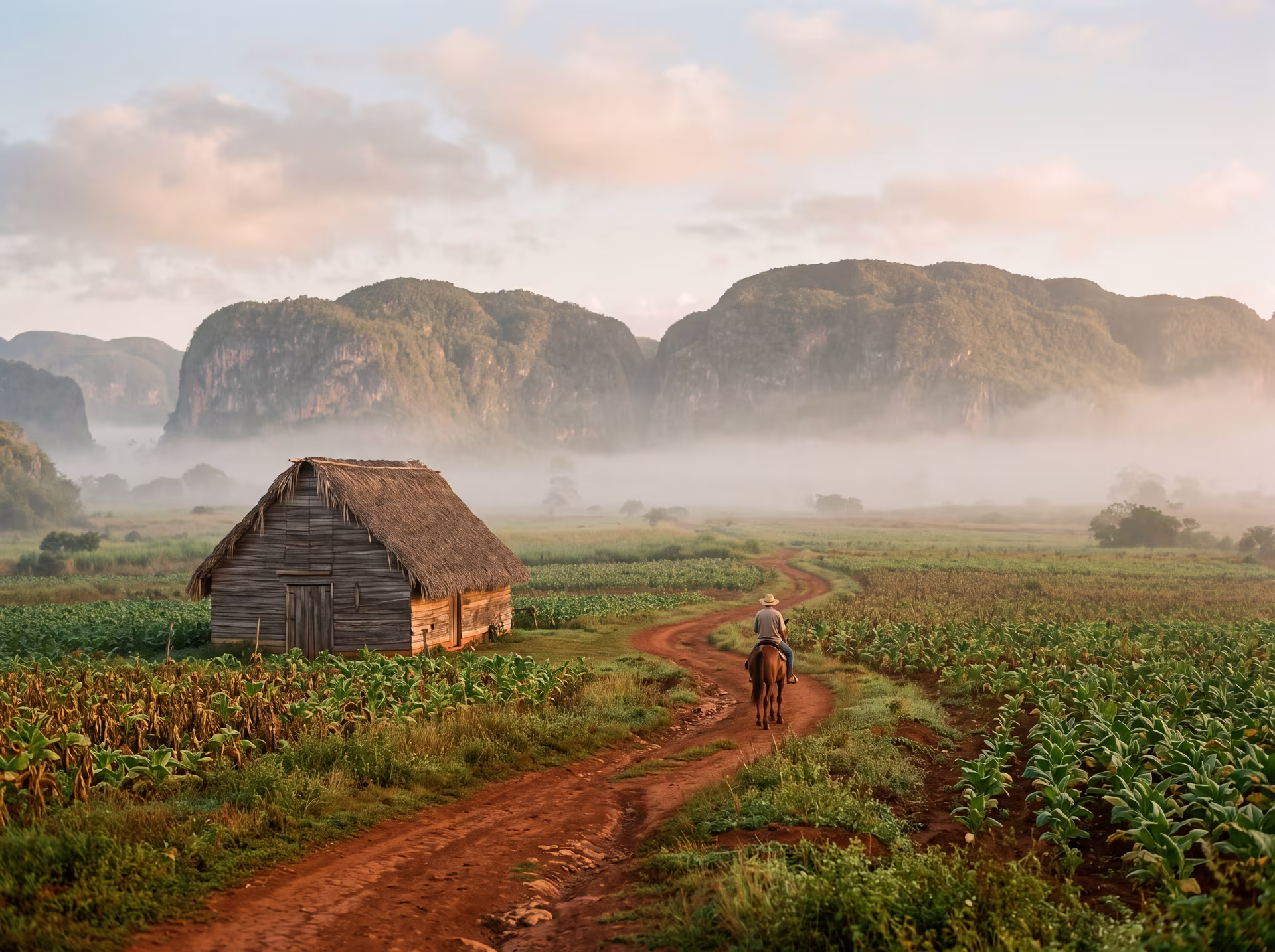 Mogotes of the Viñales valley rising from the mist above tobacco fields