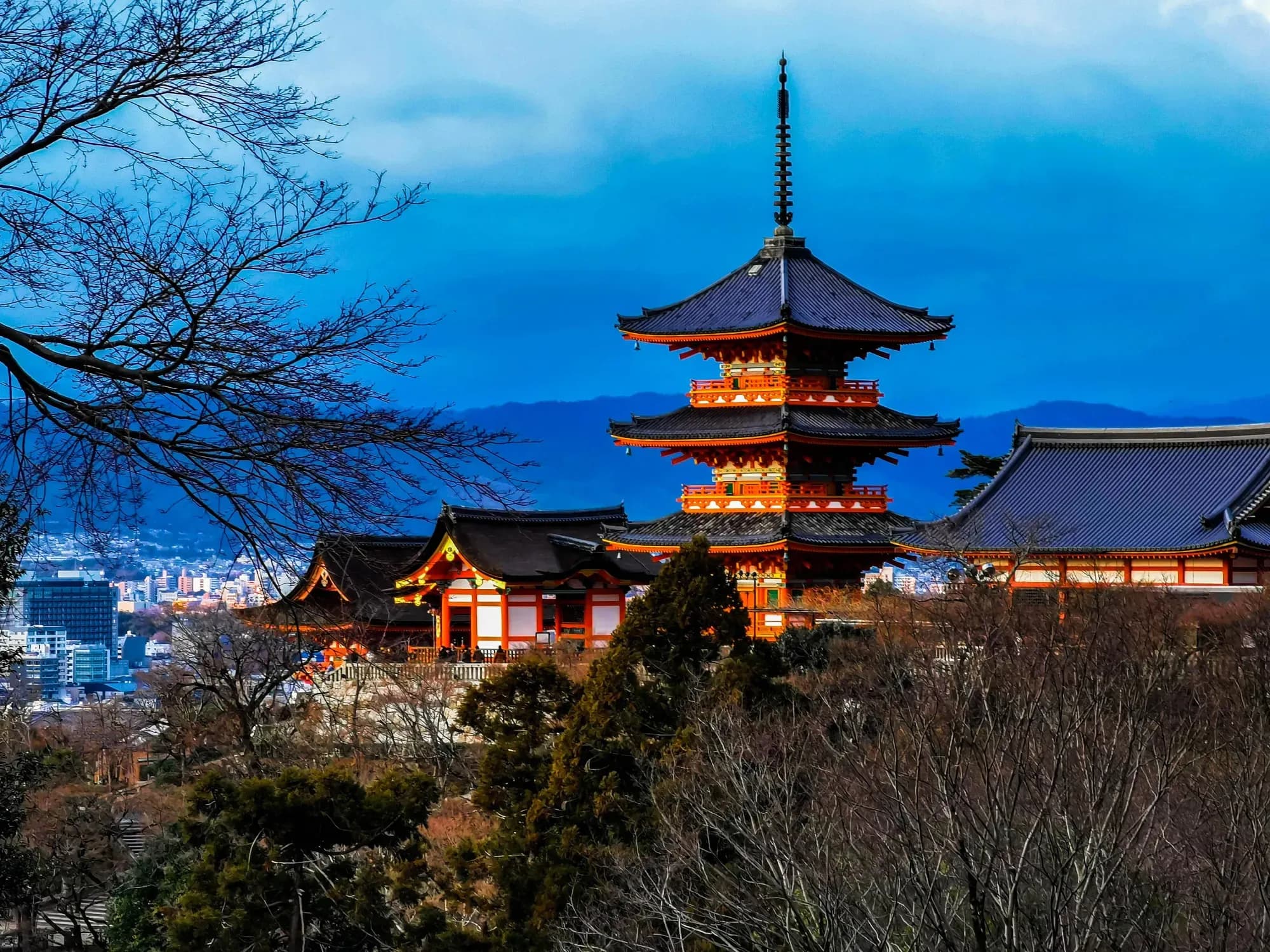 Pourquoi Kyoto en 2026 ?
