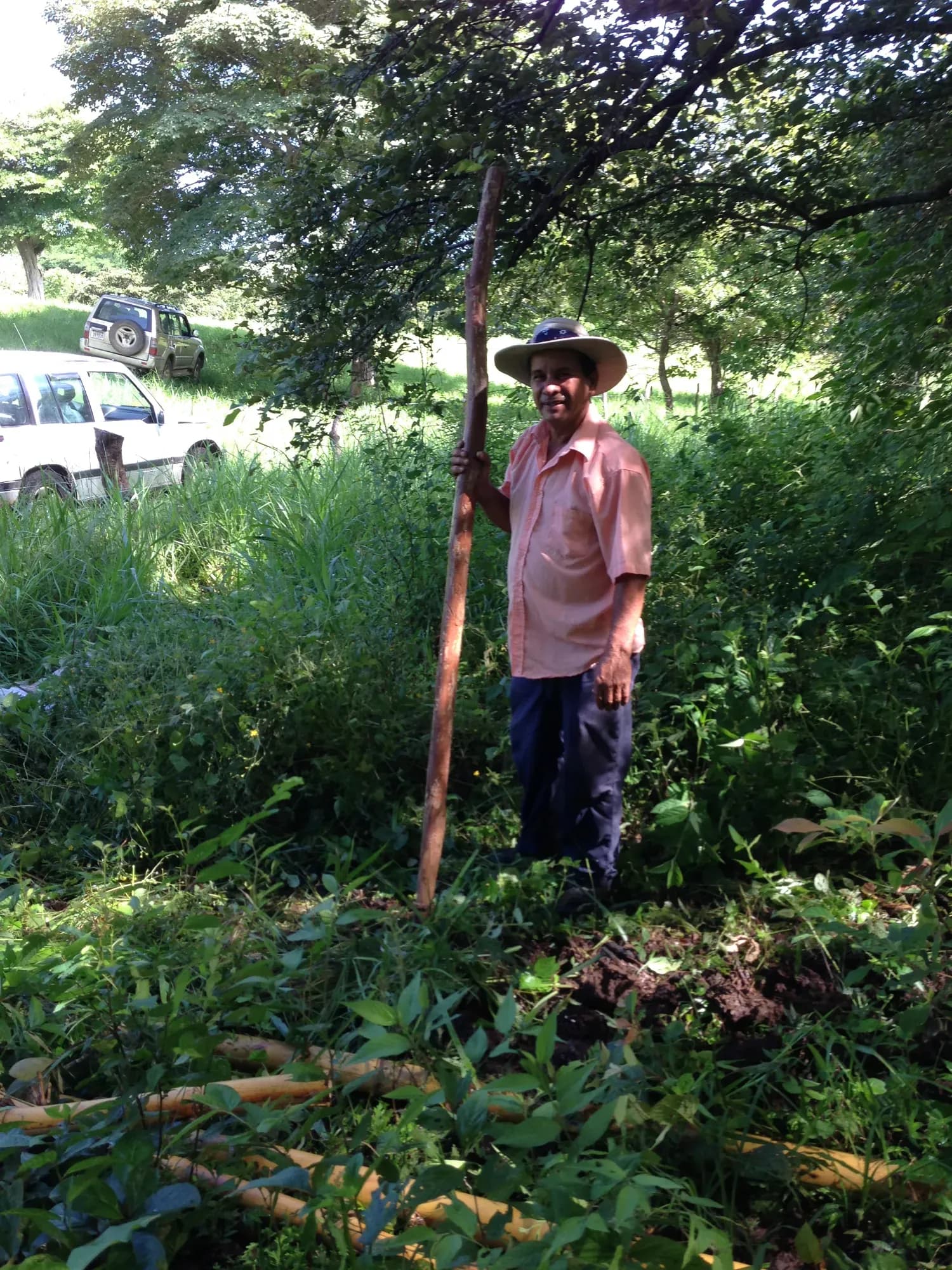 Un bénévole devant un arbre qu'il a planté