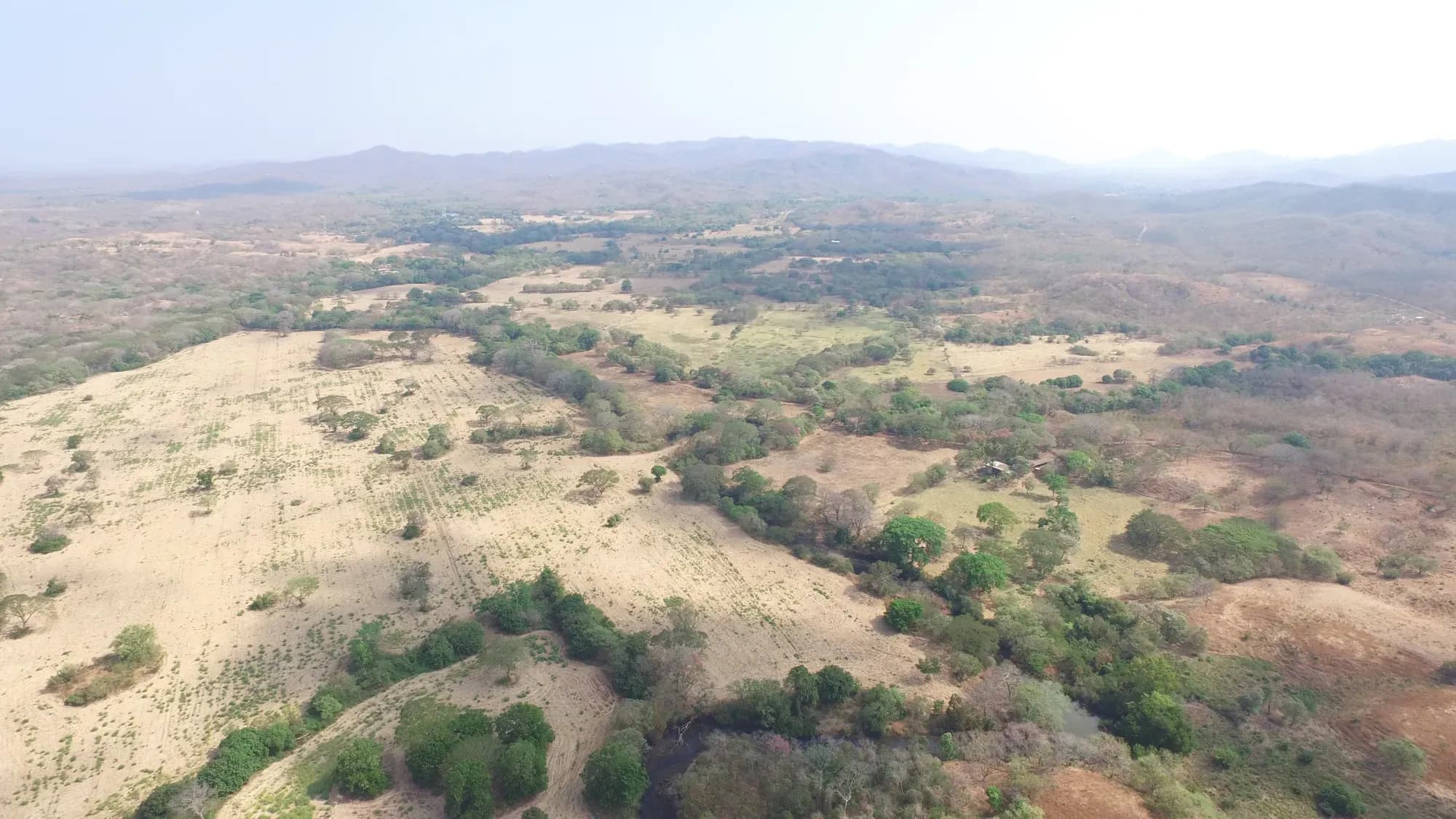 Vue aérienne d'une forêt sèche et de pâturages au Guanacaste, avec ses îlots de végétation verte