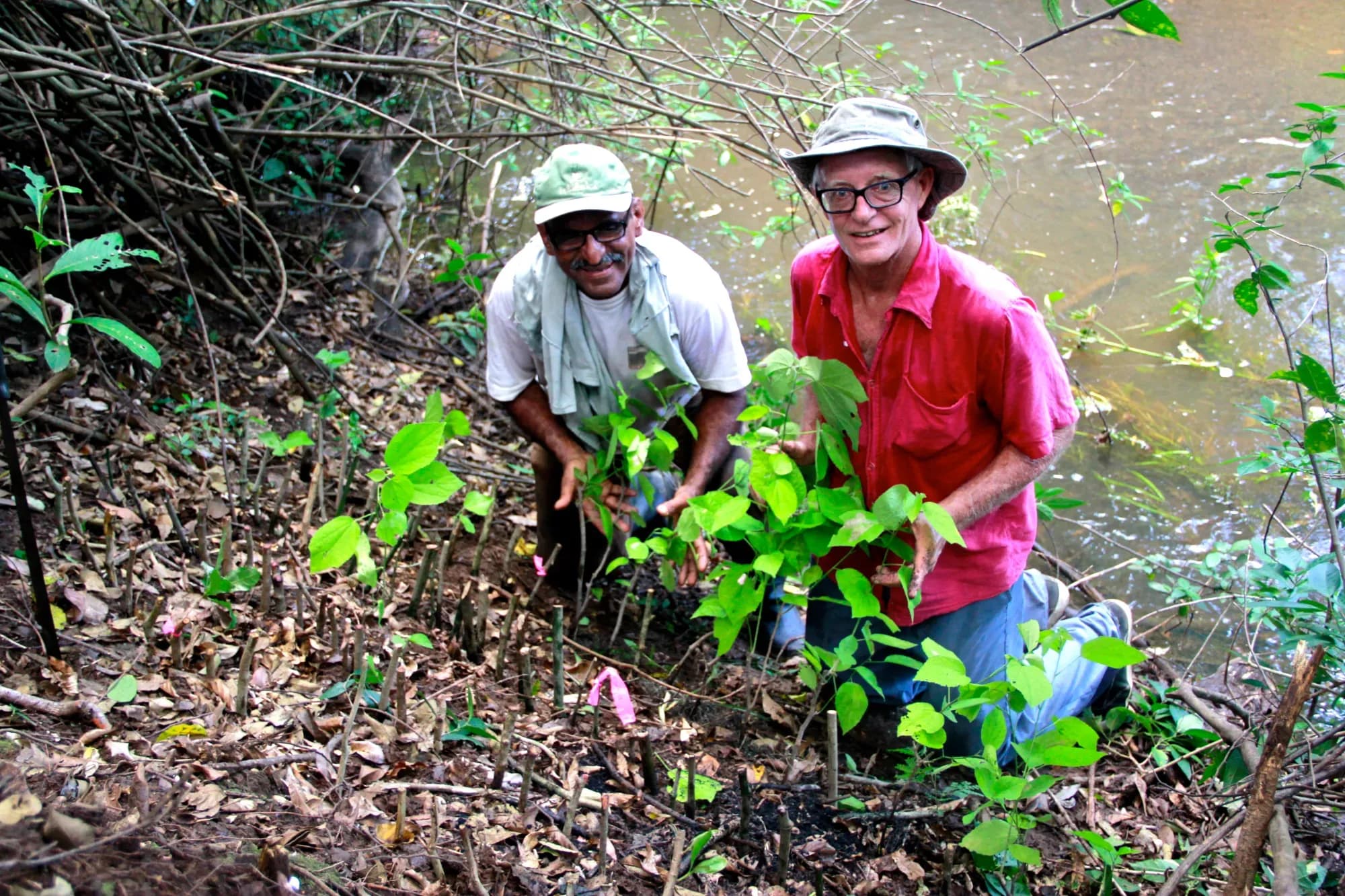 Deux hommes plantant de jeunes arbres au bord d'une rivière.