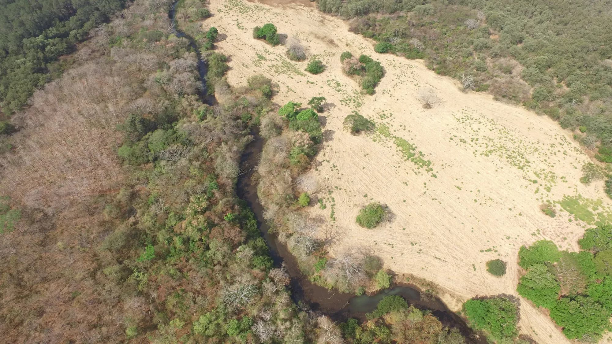 Vue aérienne d'un cours d'eau bordé d'une bande de végétation verte, entre pâturage sec et forêt au Guanacaste